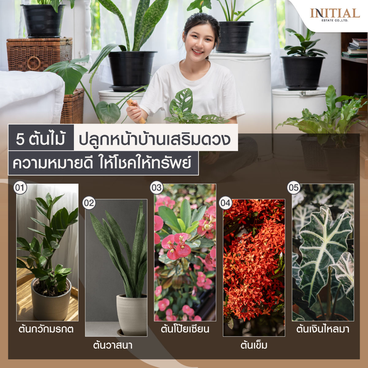 ต้นไม้มงคลปลูกหน้าบ้าน